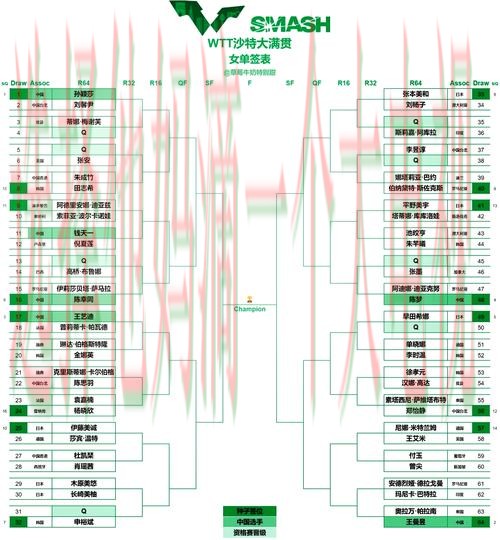 V体育综合版全方位赛事解析