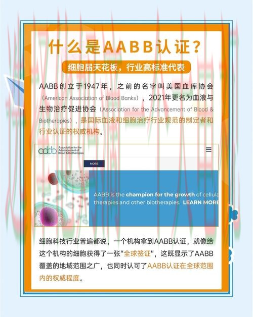 博雅登录链接入口最新版