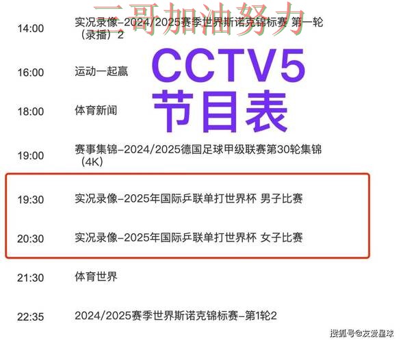 实测对比世界杯买球平台：从稳定性评测到直播观看全流程解析 - 世界杯官方信息
